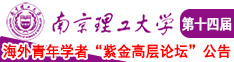 巨吊暴艹南京理工大学第十四届海外青年学者紫金论坛诚邀海内外英才！